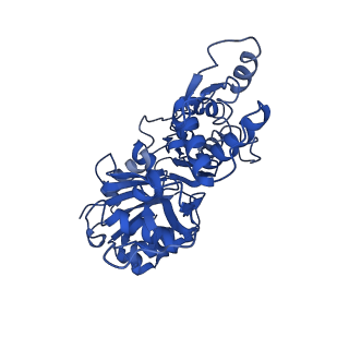 30171_7bt7_B_v1-3
F-actin-ADP complex structure