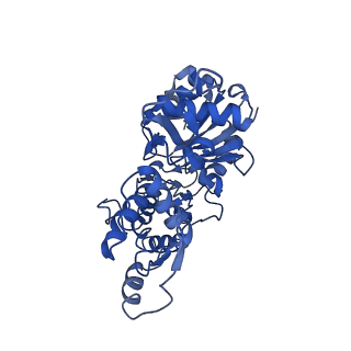30171_7bt7_C_v1-2
F-actin-ADP complex structure