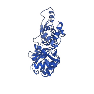 30171_7bt7_D_v1-2
F-actin-ADP complex structure