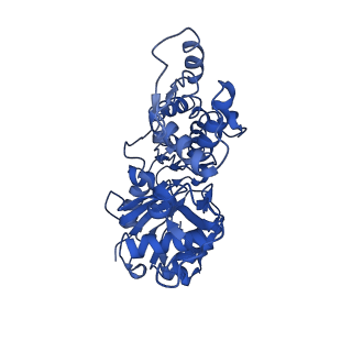 30171_7bt7_D_v1-3
F-actin-ADP complex structure