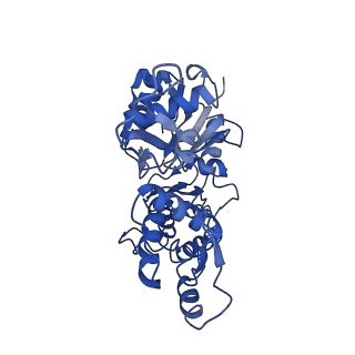 30171_7bt7_E_v1-2
F-actin-ADP complex structure