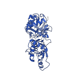 30171_7bt7_E_v1-3
F-actin-ADP complex structure