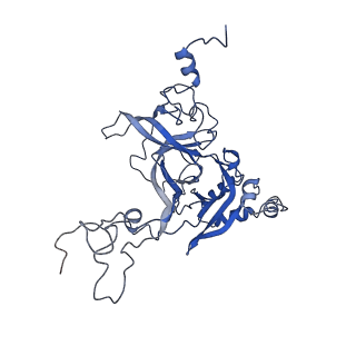 30174_7btb_B_v1-0
Cryo-EM structure of pre-60S ribosome from Saccharomyces cerevisiae rpl4delta63-87 strain at 3.22 Angstroms resolution(state R2)