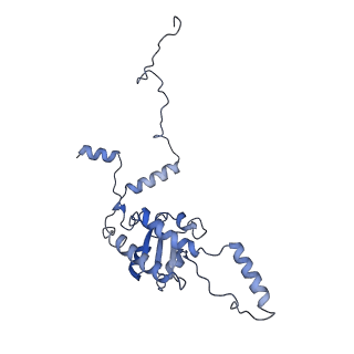 30174_7btb_G_v1-0
Cryo-EM structure of pre-60S ribosome from Saccharomyces cerevisiae rpl4delta63-87 strain at 3.22 Angstroms resolution(state R2)