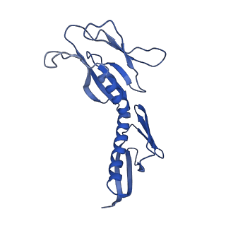 30174_7btb_H_v1-0
Cryo-EM structure of pre-60S ribosome from Saccharomyces cerevisiae rpl4delta63-87 strain at 3.22 Angstroms resolution(state R2)