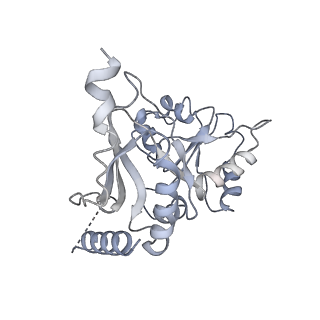30174_7btb_K_v1-0
Cryo-EM structure of pre-60S ribosome from Saccharomyces cerevisiae rpl4delta63-87 strain at 3.22 Angstroms resolution(state R2)