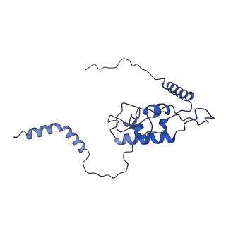30174_7btb_L_v1-0
Cryo-EM structure of pre-60S ribosome from Saccharomyces cerevisiae rpl4delta63-87 strain at 3.22 Angstroms resolution(state R2)