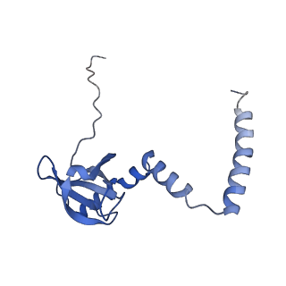 30174_7btb_M_v1-0
Cryo-EM structure of pre-60S ribosome from Saccharomyces cerevisiae rpl4delta63-87 strain at 3.22 Angstroms resolution(state R2)