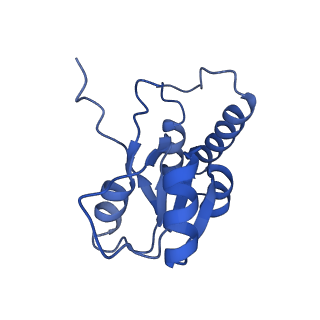 30174_7btb_Q_v1-0
Cryo-EM structure of pre-60S ribosome from Saccharomyces cerevisiae rpl4delta63-87 strain at 3.22 Angstroms resolution(state R2)