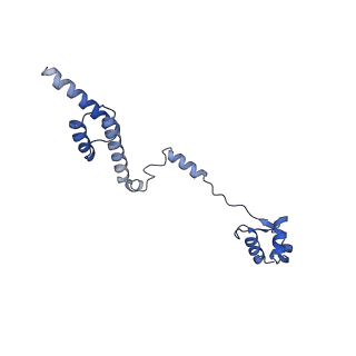30174_7btb_R_v1-0
Cryo-EM structure of pre-60S ribosome from Saccharomyces cerevisiae rpl4delta63-87 strain at 3.22 Angstroms resolution(state R2)