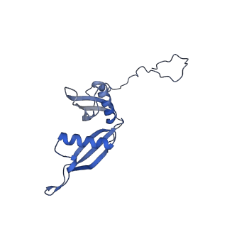30174_7btb_S_v1-0
Cryo-EM structure of pre-60S ribosome from Saccharomyces cerevisiae rpl4delta63-87 strain at 3.22 Angstroms resolution(state R2)
