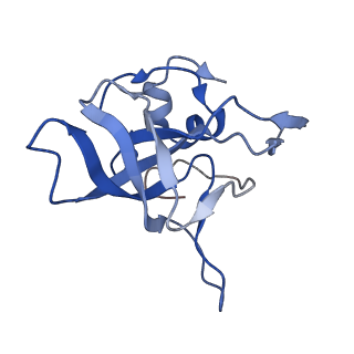 30174_7btb_V_v1-0
Cryo-EM structure of pre-60S ribosome from Saccharomyces cerevisiae rpl4delta63-87 strain at 3.22 Angstroms resolution(state R2)