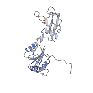 30174_7btb_W_v1-0
Cryo-EM structure of pre-60S ribosome from Saccharomyces cerevisiae rpl4delta63-87 strain at 3.22 Angstroms resolution(state R2)
