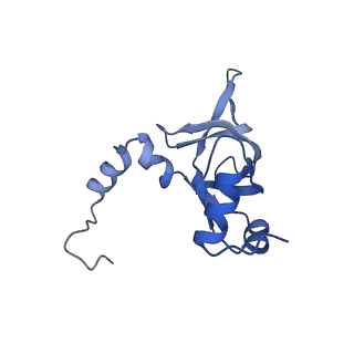 30174_7btb_Y_v1-0
Cryo-EM structure of pre-60S ribosome from Saccharomyces cerevisiae rpl4delta63-87 strain at 3.22 Angstroms resolution(state R2)