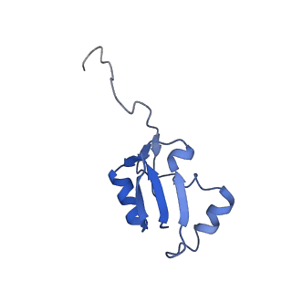30174_7btb_a_v1-0
Cryo-EM structure of pre-60S ribosome from Saccharomyces cerevisiae rpl4delta63-87 strain at 3.22 Angstroms resolution(state R2)
