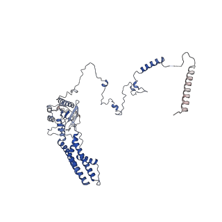 30174_7btb_b_v1-0
Cryo-EM structure of pre-60S ribosome from Saccharomyces cerevisiae rpl4delta63-87 strain at 3.22 Angstroms resolution(state R2)