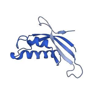 30174_7btb_d_v1-0
Cryo-EM structure of pre-60S ribosome from Saccharomyces cerevisiae rpl4delta63-87 strain at 3.22 Angstroms resolution(state R2)
