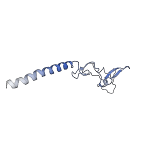 30174_7btb_g_v1-0
Cryo-EM structure of pre-60S ribosome from Saccharomyces cerevisiae rpl4delta63-87 strain at 3.22 Angstroms resolution(state R2)