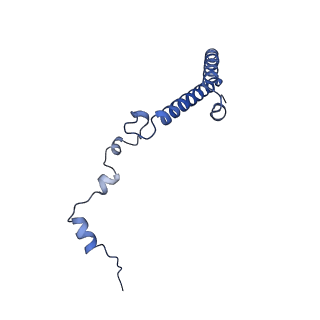 30174_7btb_h_v1-0
Cryo-EM structure of pre-60S ribosome from Saccharomyces cerevisiae rpl4delta63-87 strain at 3.22 Angstroms resolution(state R2)