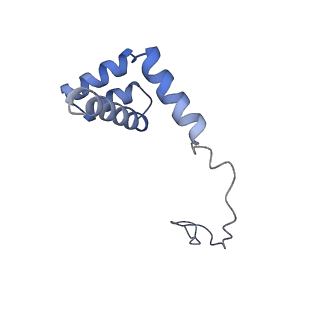 30174_7btb_i_v1-0
Cryo-EM structure of pre-60S ribosome from Saccharomyces cerevisiae rpl4delta63-87 strain at 3.22 Angstroms resolution(state R2)