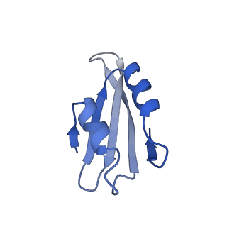 30174_7btb_k_v1-0
Cryo-EM structure of pre-60S ribosome from Saccharomyces cerevisiae rpl4delta63-87 strain at 3.22 Angstroms resolution(state R2)