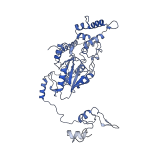 30174_7btb_m_v1-0
Cryo-EM structure of pre-60S ribosome from Saccharomyces cerevisiae rpl4delta63-87 strain at 3.22 Angstroms resolution(state R2)