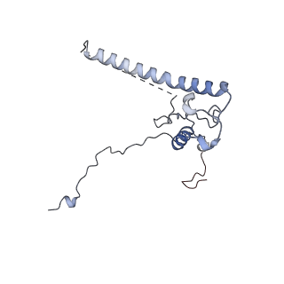 30174_7btb_q_v1-0
Cryo-EM structure of pre-60S ribosome from Saccharomyces cerevisiae rpl4delta63-87 strain at 3.22 Angstroms resolution(state R2)
