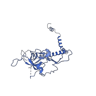 30174_7btb_r_v1-0
Cryo-EM structure of pre-60S ribosome from Saccharomyces cerevisiae rpl4delta63-87 strain at 3.22 Angstroms resolution(state R2)