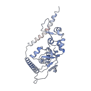 30174_7btb_t_v1-0
Cryo-EM structure of pre-60S ribosome from Saccharomyces cerevisiae rpl4delta63-87 strain at 3.22 Angstroms resolution(state R2)