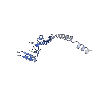 30174_7btb_u_v1-0
Cryo-EM structure of pre-60S ribosome from Saccharomyces cerevisiae rpl4delta63-87 strain at 3.22 Angstroms resolution(state R2)