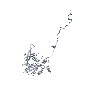 30174_7btb_v_v1-0
Cryo-EM structure of pre-60S ribosome from Saccharomyces cerevisiae rpl4delta63-87 strain at 3.22 Angstroms resolution(state R2)