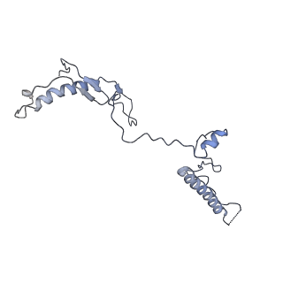 30174_7btb_w_v1-0
Cryo-EM structure of pre-60S ribosome from Saccharomyces cerevisiae rpl4delta63-87 strain at 3.22 Angstroms resolution(state R2)