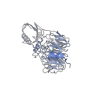 30174_7btb_x_v1-0
Cryo-EM structure of pre-60S ribosome from Saccharomyces cerevisiae rpl4delta63-87 strain at 3.22 Angstroms resolution(state R2)