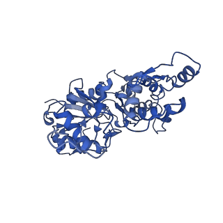 30177_7bte_A_v1-2
Lifeact-F-actin complex
