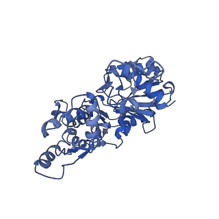 30177_7bte_C_v1-2
Lifeact-F-actin complex