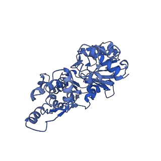 30177_7bte_C_v1-3
Lifeact-F-actin complex