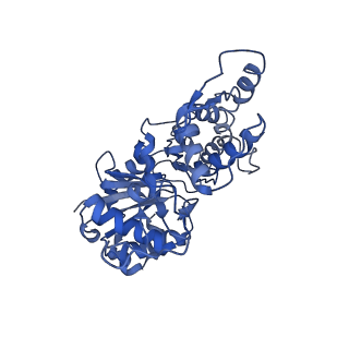 30177_7bte_E_v1-2
Lifeact-F-actin complex
