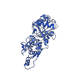 30177_7bte_G_v1-2
Lifeact-F-actin complex