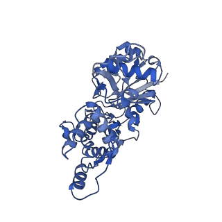 30177_7bte_G_v1-3
Lifeact-F-actin complex