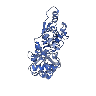 30177_7bte_I_v1-2
Lifeact-F-actin complex