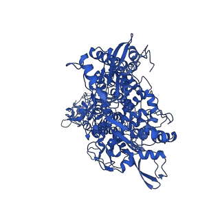 30178_7btf_A_v2-3
SARS-CoV-2 RNA-dependent RNA polymerase in complex with cofactors in reduced condition