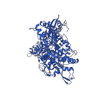 30178_7btf_A_v2-4
SARS-CoV-2 RNA-dependent RNA polymerase in complex with cofactors in reduced condition