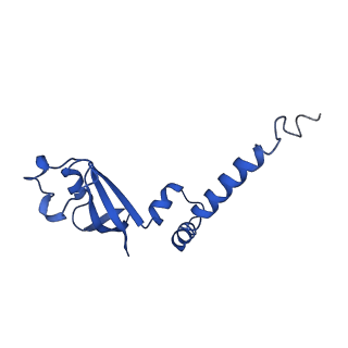 30178_7btf_B_v2-3
SARS-CoV-2 RNA-dependent RNA polymerase in complex with cofactors in reduced condition