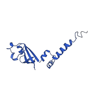 30178_7btf_B_v2-4
SARS-CoV-2 RNA-dependent RNA polymerase in complex with cofactors in reduced condition