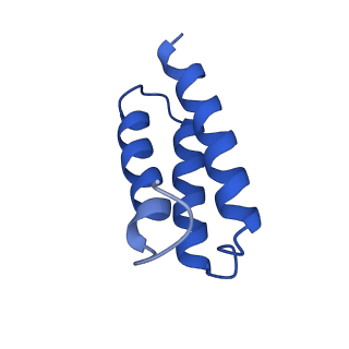 30178_7btf_C_v2-4
SARS-CoV-2 RNA-dependent RNA polymerase in complex with cofactors in reduced condition