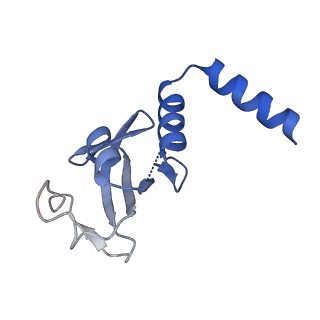 30178_7btf_D_v1-1
SARS-CoV-2 RNA-dependent RNA polymerase in complex with cofactors in reduced condition