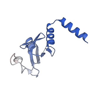 30178_7btf_D_v2-3
SARS-CoV-2 RNA-dependent RNA polymerase in complex with cofactors in reduced condition