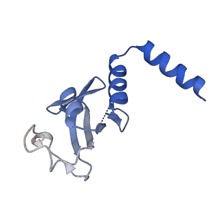 30178_7btf_D_v2-4
SARS-CoV-2 RNA-dependent RNA polymerase in complex with cofactors in reduced condition