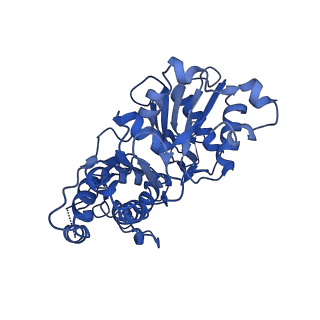 30179_7bti_A_v1-2
Phalloidin bound F-actin complex