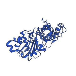 30179_7bti_B_v1-2
Phalloidin bound F-actin complex